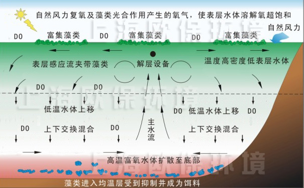 解层式控制水华系统