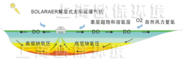 解层式控制水华系统