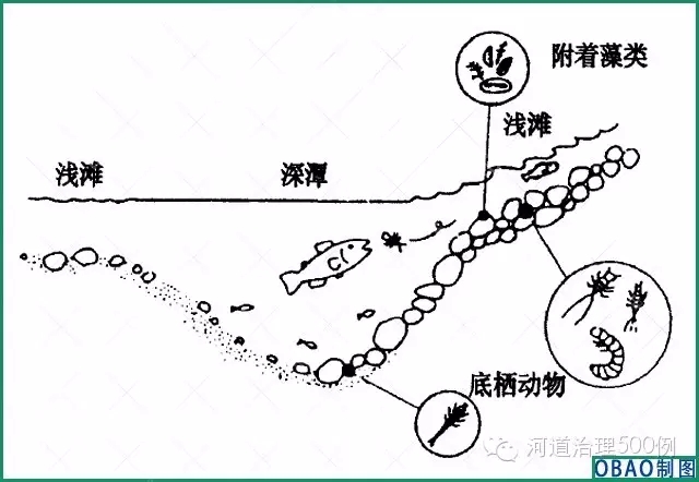 浅滩-深潭示意图