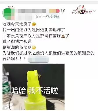 巢湖蓝藻爆发，网友吐槽