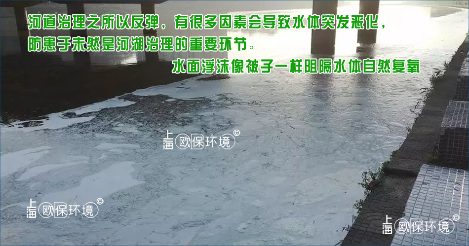 泡沫覆盖水面，对水体产生严重影响，不光使水面复氧隔断，同时还影响水面观感