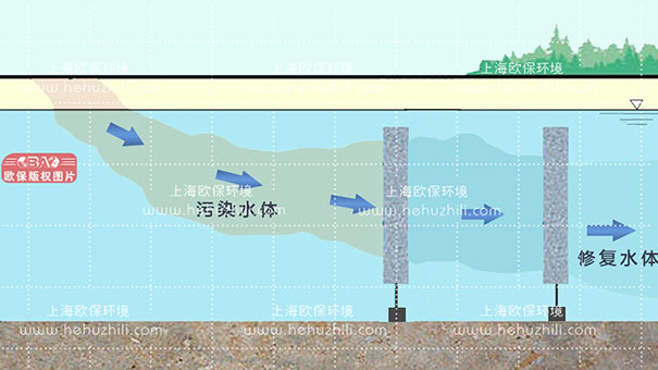 生物填料