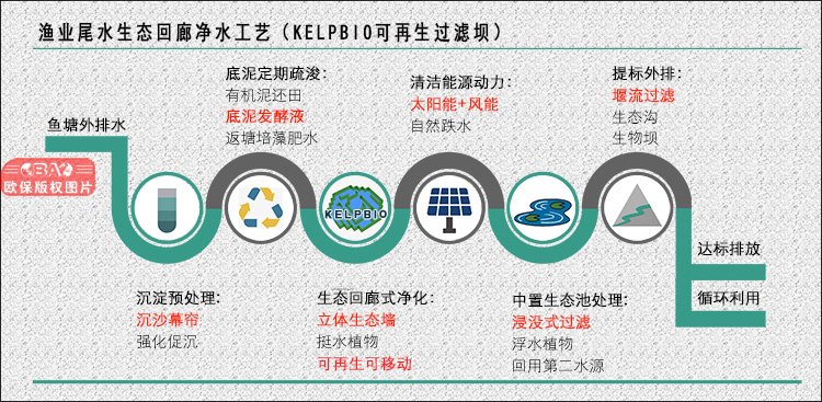 三池两坝-可再生生物过滤坝工艺：鱼塘尾水治理