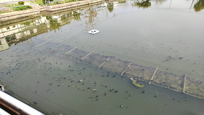 在实际生产中传统三池两坝工艺处理效果不理想 在实际生产中传统三池两坝工艺处理效果不理想