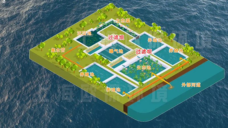 改进型三池两坝工艺:淡水池塘养殖的新希望 改进型三池两坝工艺:淡水池塘养殖的新希望