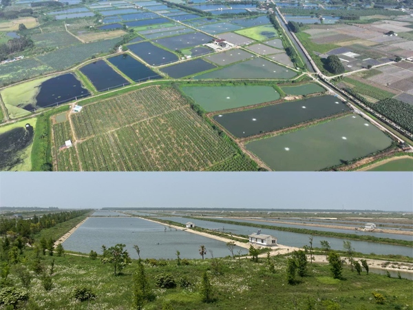 可再生滤坝，三池两坝，养殖尾水治理